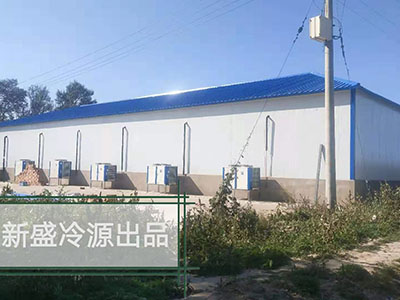 case图片1